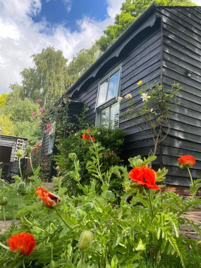 بيفيرلي Thompsons Cottage المظهر الخارجي الصورة