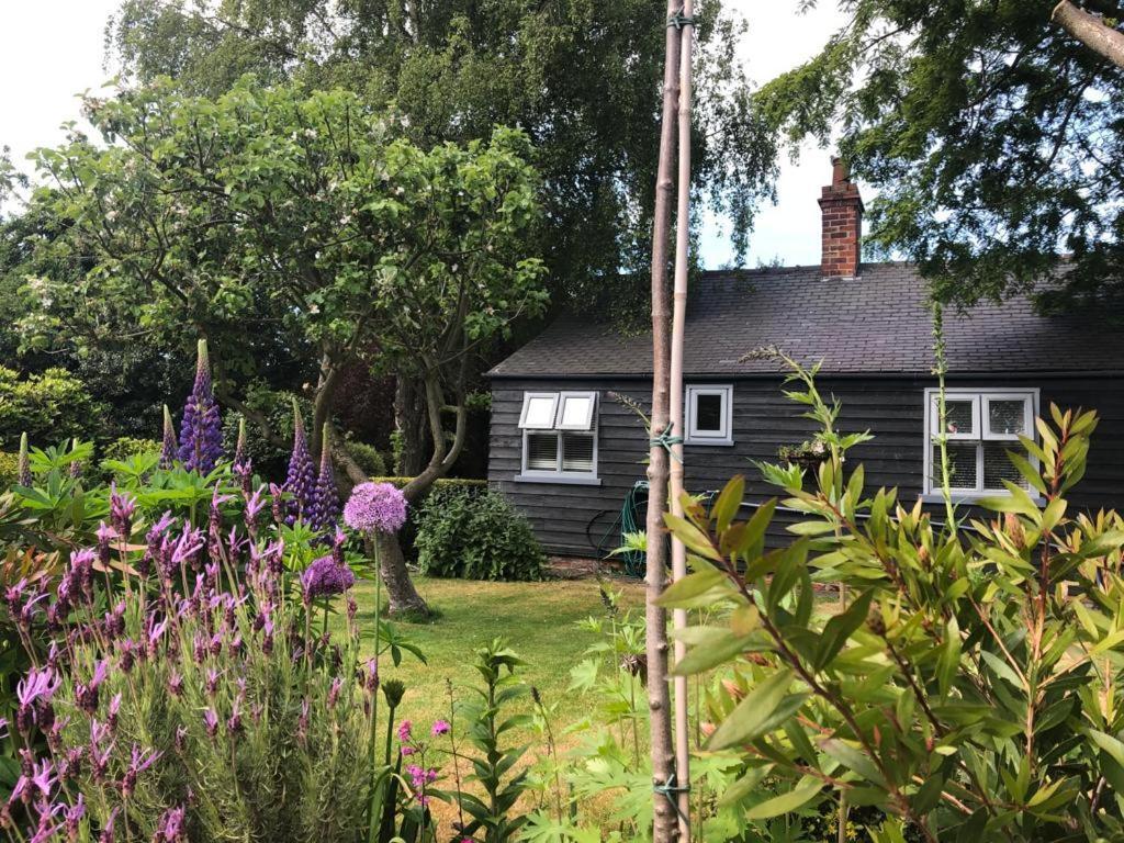 بيفيرلي Thompsons Cottage المظهر الخارجي الصورة