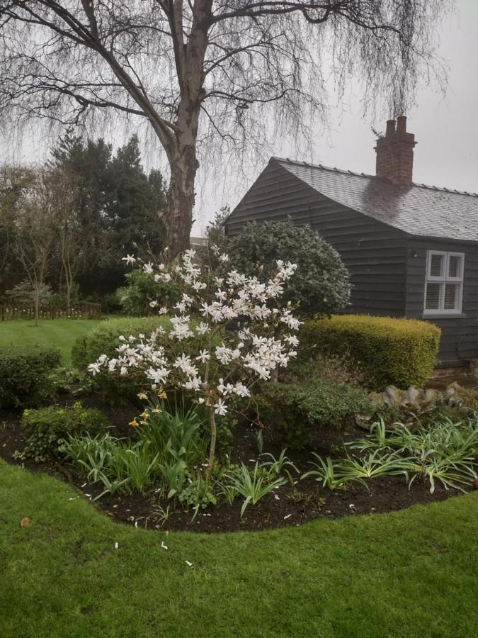 بيفيرلي Thompsons Cottage المظهر الخارجي الصورة