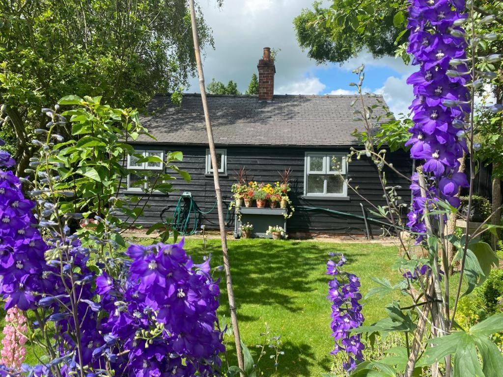 بيفيرلي Thompsons Cottage المظهر الخارجي الصورة